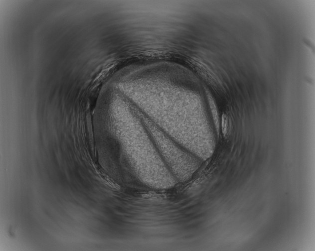 X0000091311107200708311351