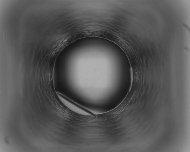 X0000091311108200708311351