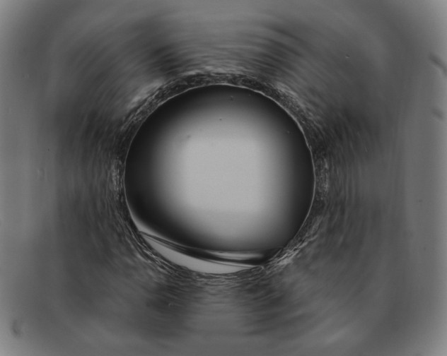 X0000091311110200708311351