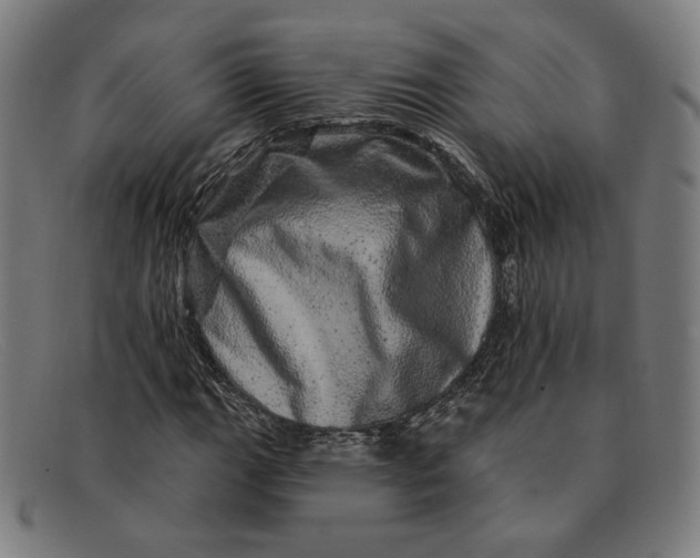 X0000091311111200708311351