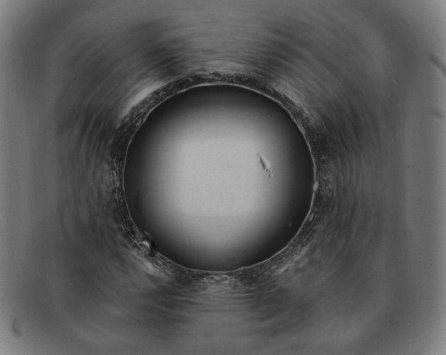 X0000091311112200708311351