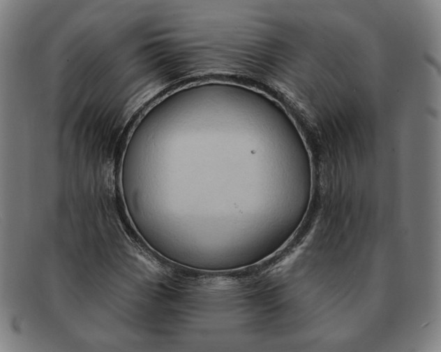 X0000091311113200708311351