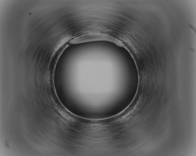 X0000091311114200708311351