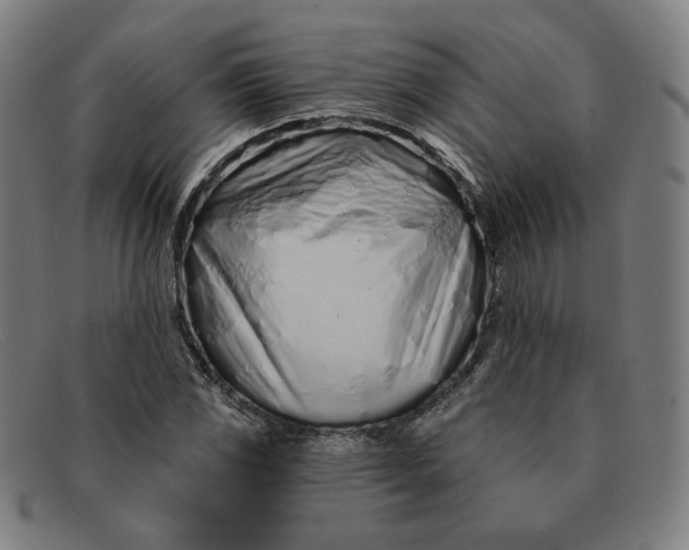 X0000091311117200708311351