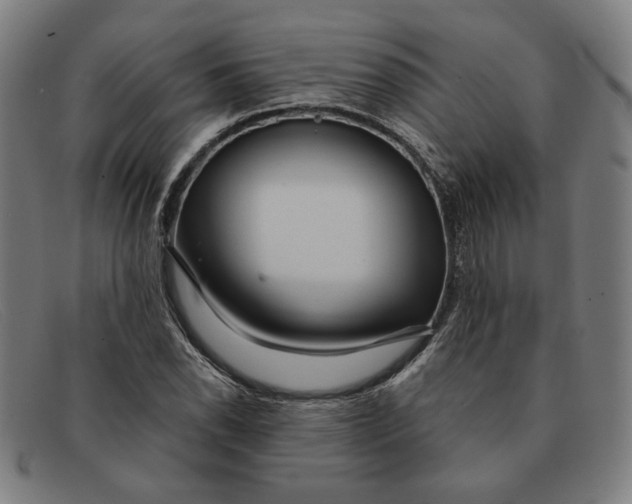 X0000091311118200708311351