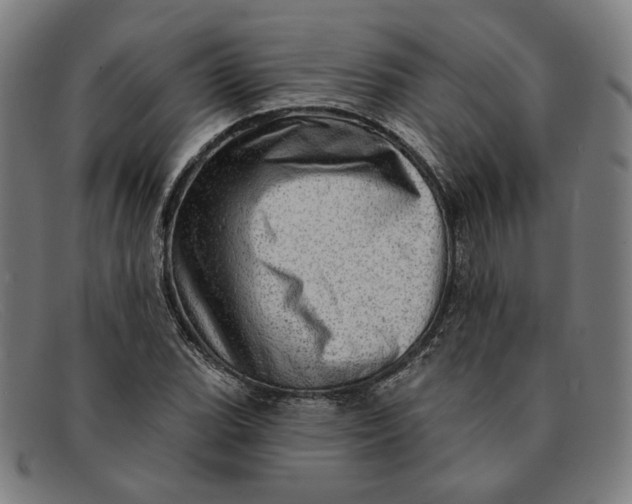 X0000091311119200708311351