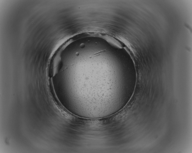 X0000091311120200708311351