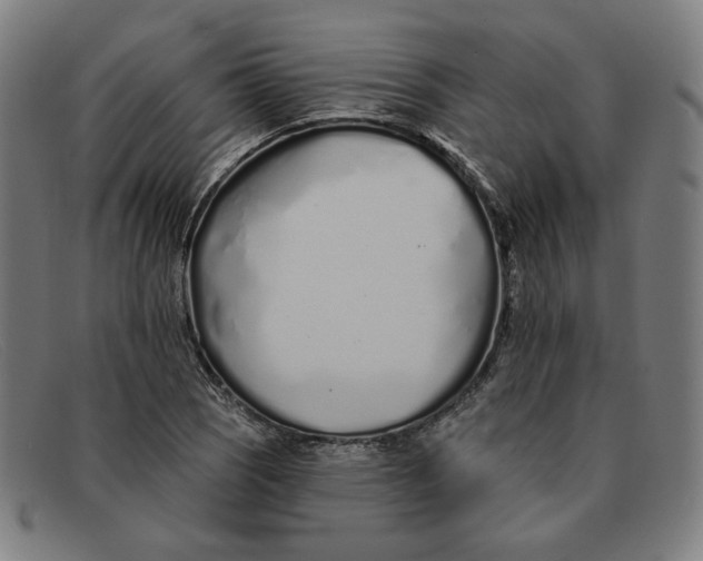 X0000091311121200708311351