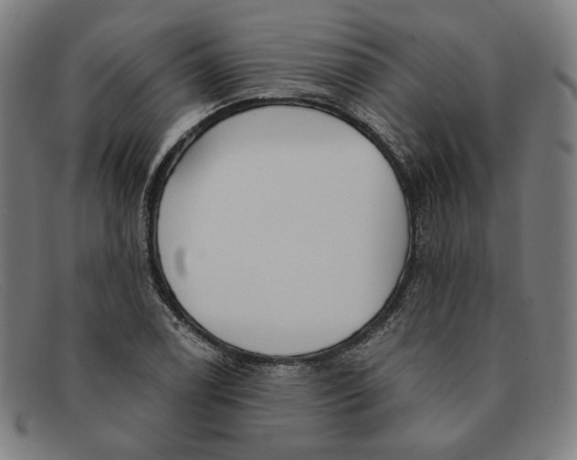 X0000091311122200708311351