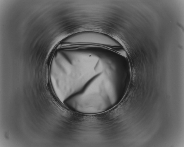 X0000091311123200708311351