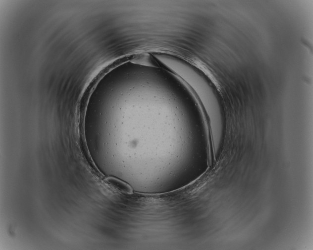 X0000091311124200708311351