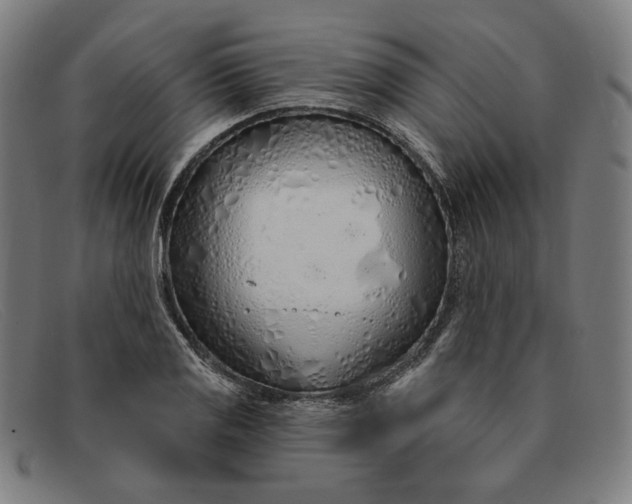 X0000091311125200708311351