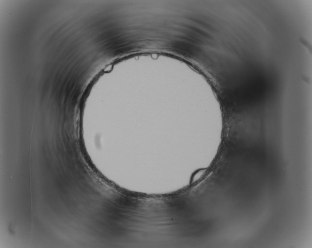 X0000091311126200708311351