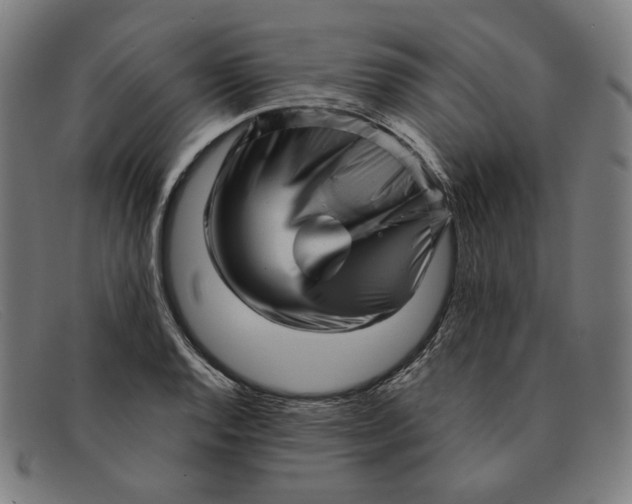 X0000091311128200708311351