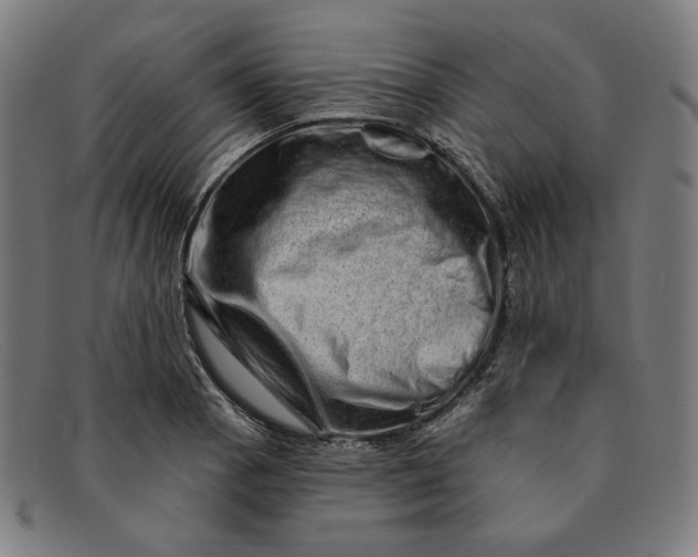 X0000091311129200708311351