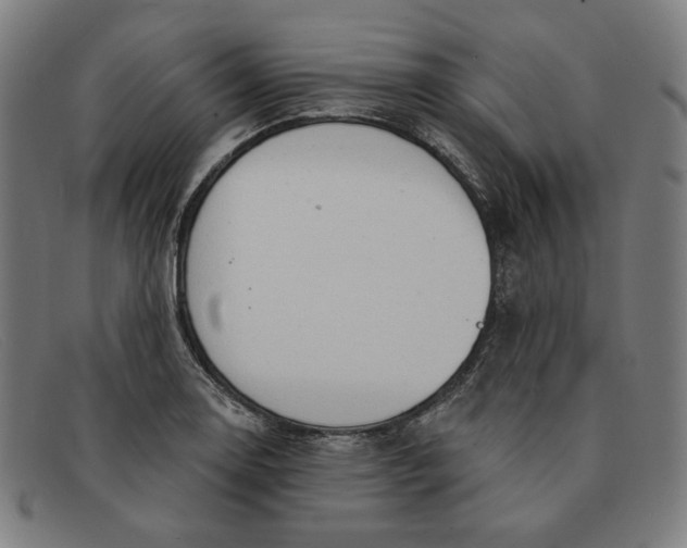 X0000091311130200708311351