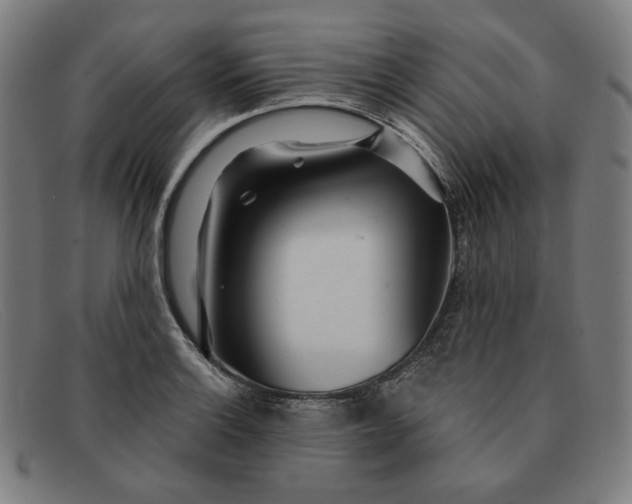 X0000091311132200708311351