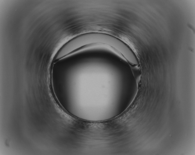 X0000091311136200708311351