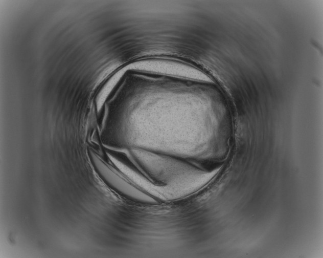 X0000091311137200708311351