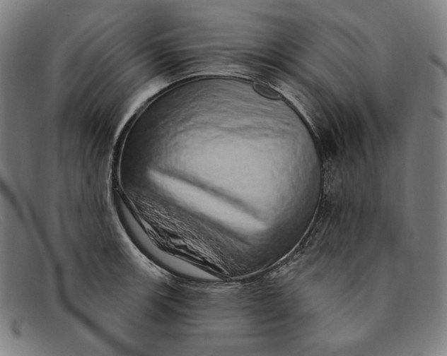 X0000091311139200708311351