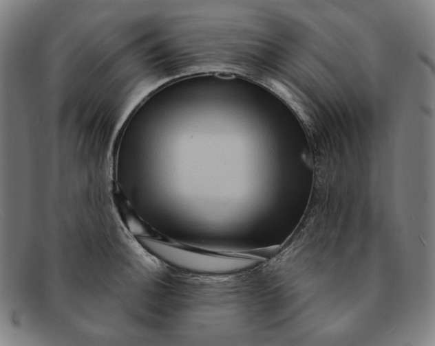 X0000091311140200708311351