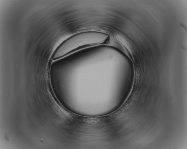 X0000091311141200708311351