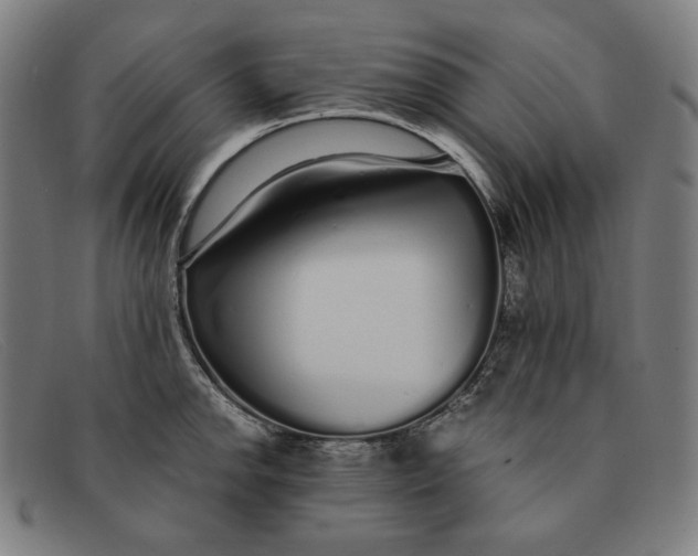 X0000091311142200708311351