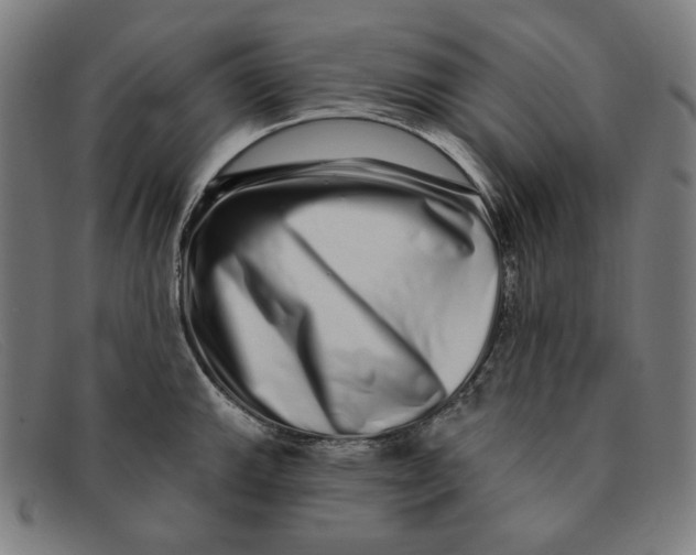 X0000091311143200708311351