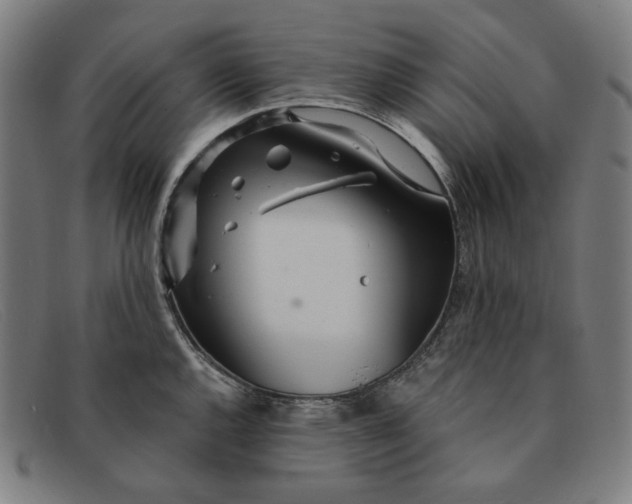 X0000091311144200708311351