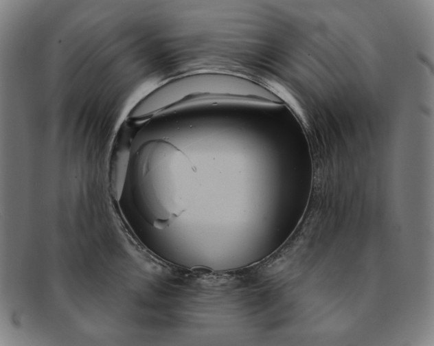 X0000091311146200708311351