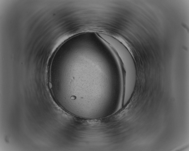 X0000091311147200708311351