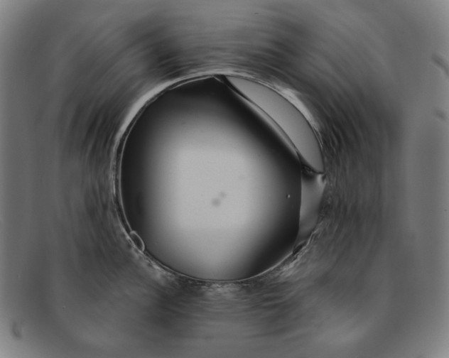 X0000091311148200708311351