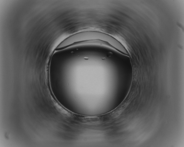 X0000091311151200708311351