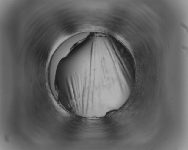 X0000091311152200708311351