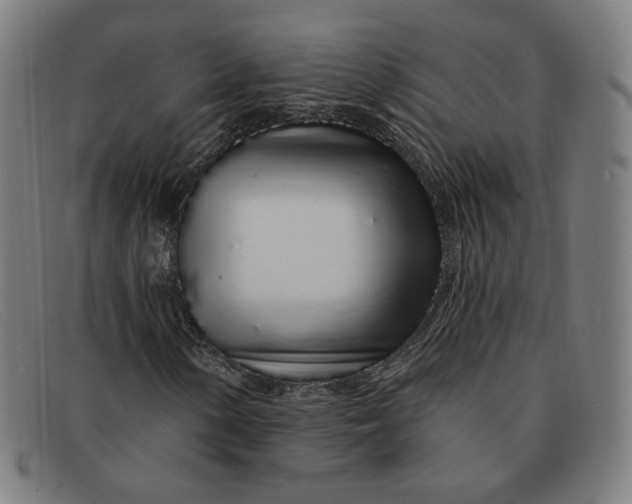 X0000091311154200708311351