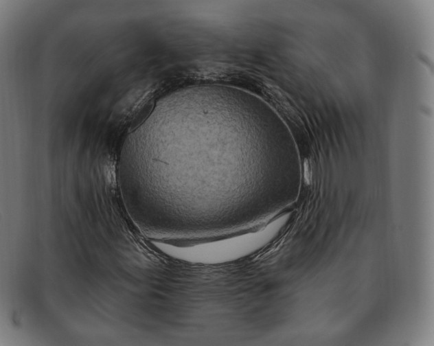 X0000091311155200708311351