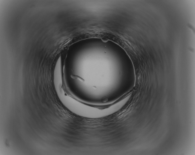 X0000091311156200708311351