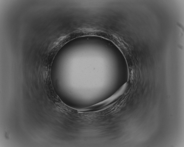 X0000091311157200708311351