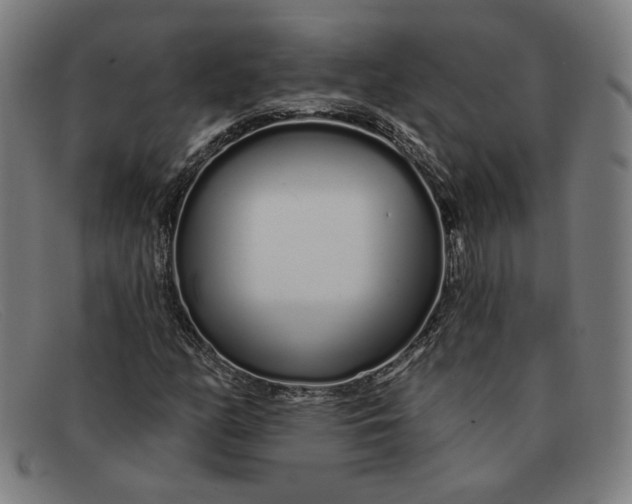 X0000091311158200708311351