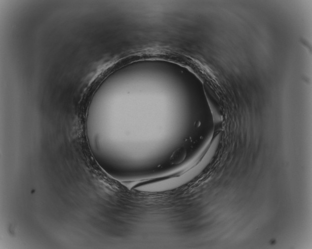 X0000091311160200708311351