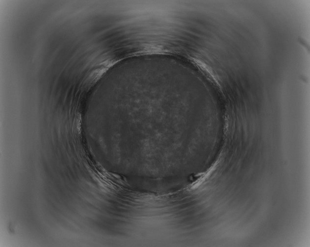 X0000091311161200708311351