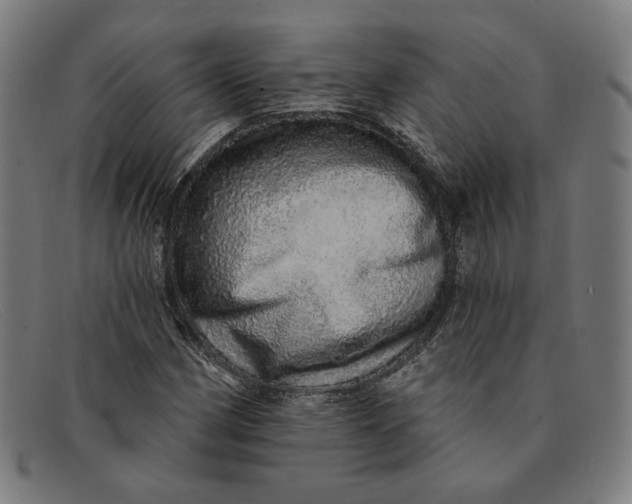 X0000091311162200708311351