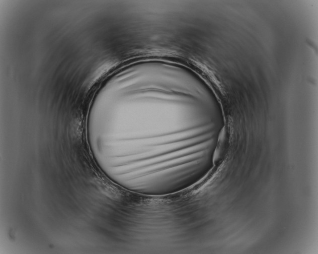 X0000091311163200708311351