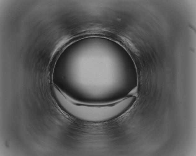 X0000091311164200708311351