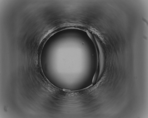 X0000091311165200708311351