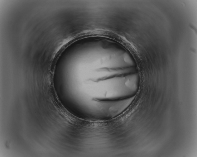 X0000091311166200708311351