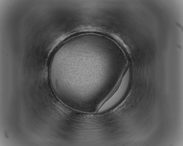 X0000091311167200708311351