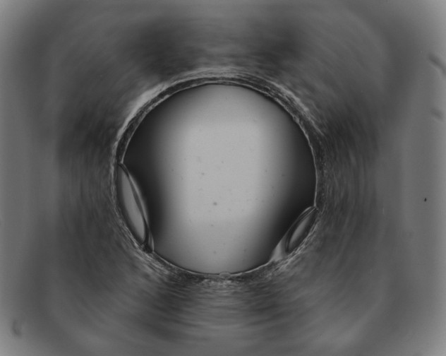 X0000091311168200708311351