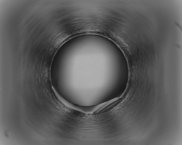 X0000091311169200708311351