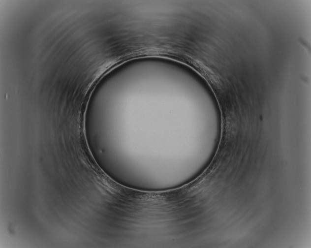 X0000091311170200708311351